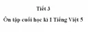 Tiết 3 - Ôn tập cuối học kì 1 trang 173 Tiếng Việt 5 tập 1