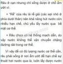 cơ quan sinh sản của rêu là gì