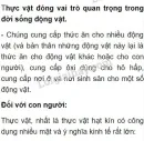 cơ quan sinh sản của rêu là gì