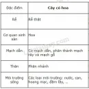 cơ quan sinh sản của rêu là gì