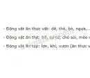 Kể tên vài loại động vật ăn thịt, ăn thực vật và ăn tạp.