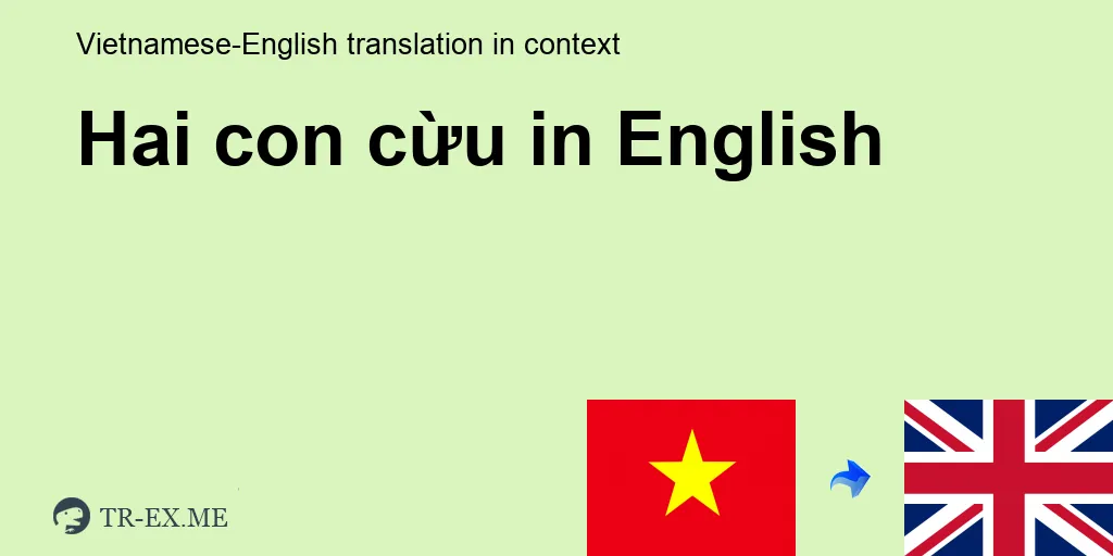 HAI CON CỪU Tiếng anh là gì - trong Tiếng anh Dịch