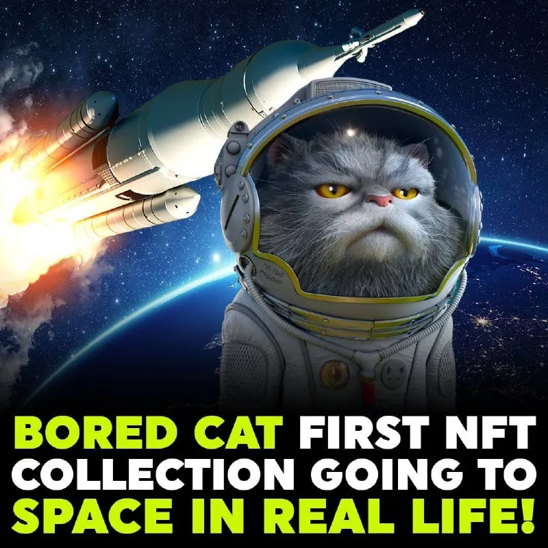 Mèo chán là bộ sưu tập 3D Nft PFP đầu tiên để đi