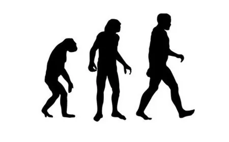 Tại sao mọi loài linh trưởng không tiến hóa thành người?
