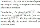 Bài 2 trang 47 SGK Sinh học 9