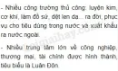 Trình bày sự phát triển chủ nghĩa tư bản Anh và những hệ quả của nó?