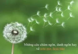 Tổng Hợp Những Câu Nói Hay Về Ước Mơ Ý Nghĩa Nhất