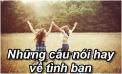 Tổng hợp những câu nói, stt hay nhất về tình bạn