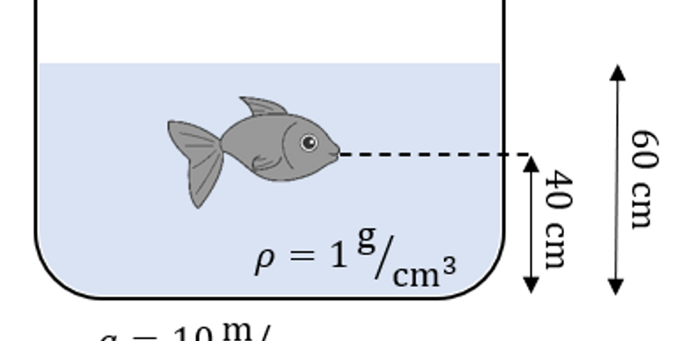 Jika percepatan gravitasi bumi 10 m/s2 maka tekanan hidrostatis yang dialami ikan tersebut adalah