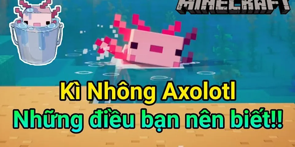 Axolotl là gì
