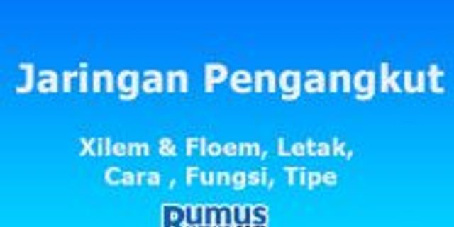 Berkas Pembuluh Pada Tanaman Kelapa Letaknya - Homecare24