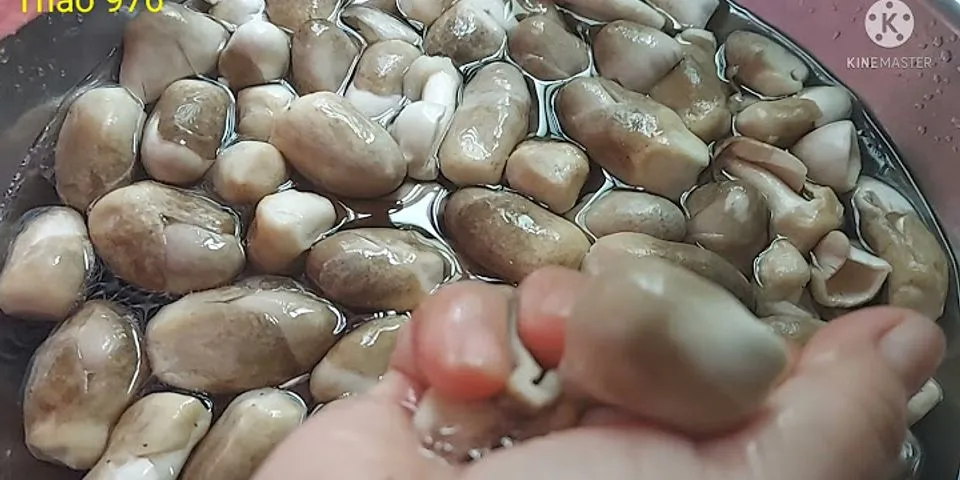 Cách bảo quản nấm rơm trong tủ đông