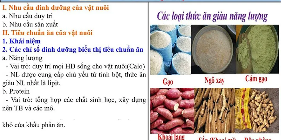 Cách dinh dưỡng của trai có ý nghĩa như thế nào đối với môi trường