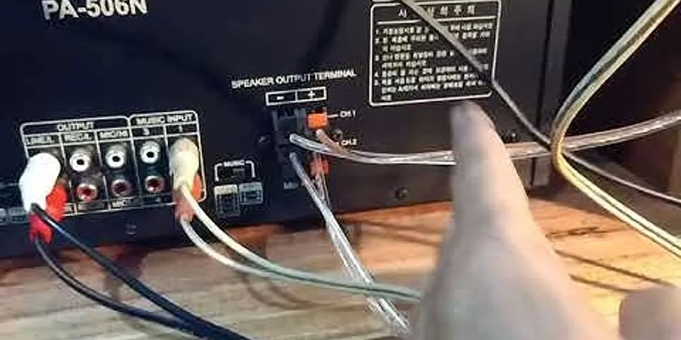 Cách gắn dây loa vào amply