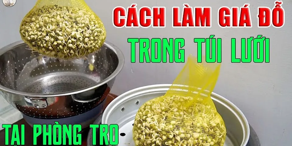 Cách làm giá đậu xanh bằng túi lưới