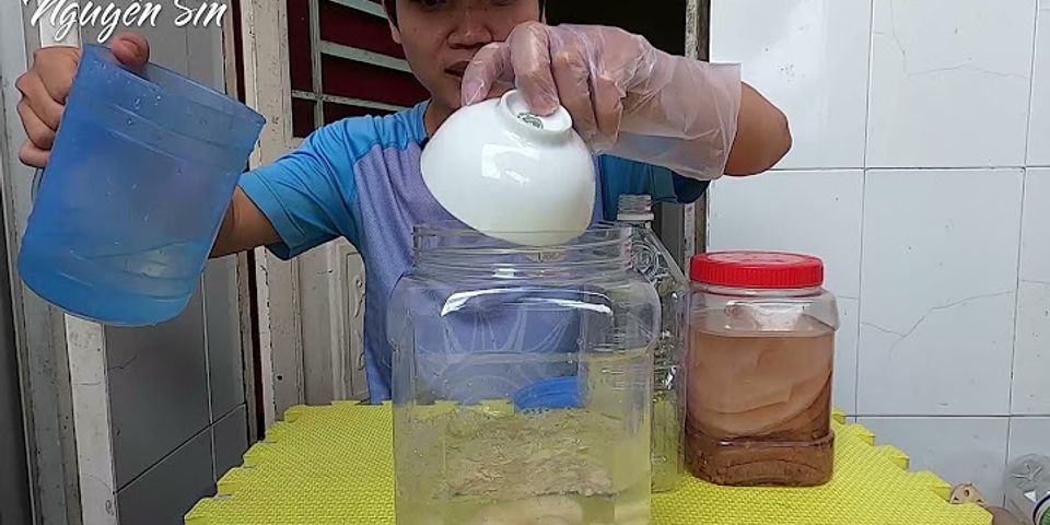 Cách làm giấm nuôi bằng chuối sứ