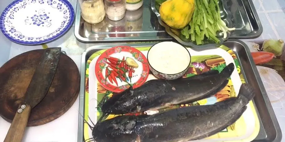 Cách nấu cháo cá chạch với rau gì cho bé