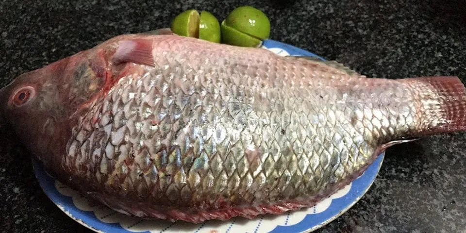 Cách rán cá rô phi tẩm bột