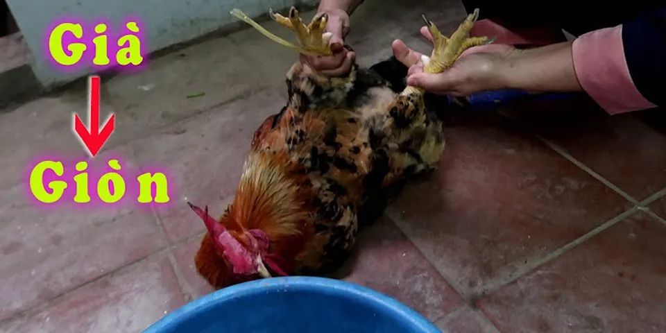 Cách xử lý thịt gà bị ôi