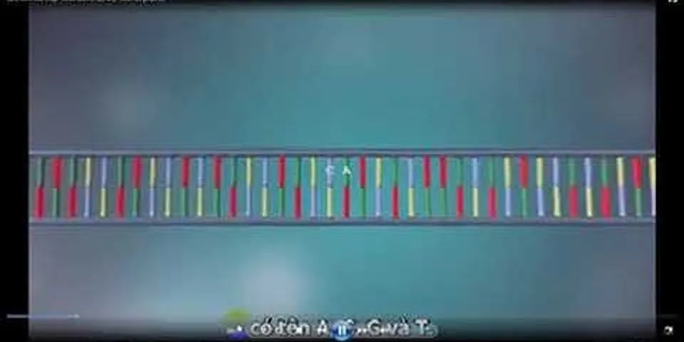 Đặc điểm nào sau đây là sự khác biệt giữa quá trình nhân đôi và quá trình phiên mã của ADN