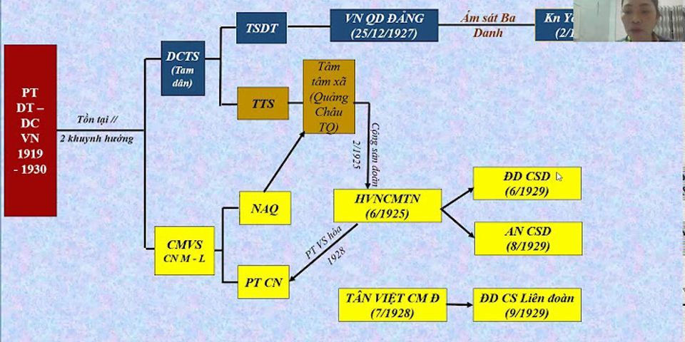 Đặc điểm nổi bật của cách mạng việt nam trong những năm 1919 – 1930 là gì?