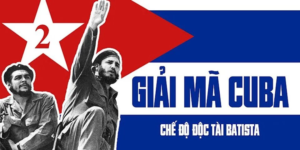 Đánh giá như thế nào về vai trò của Fidel Castro trong phong trào giải phóng dân tộc ở Mỹ Latinh