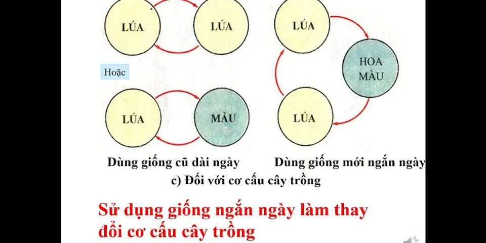 Giống cây trồng có ảnh hưởng như thế nào đến thời vụ gieo trồng