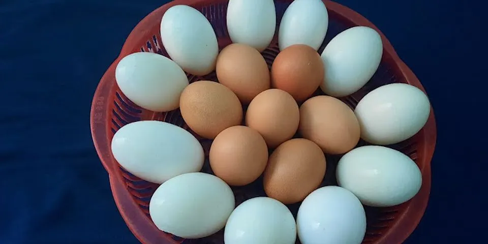 Hưởng dẫn cách bảo quản trứng gà