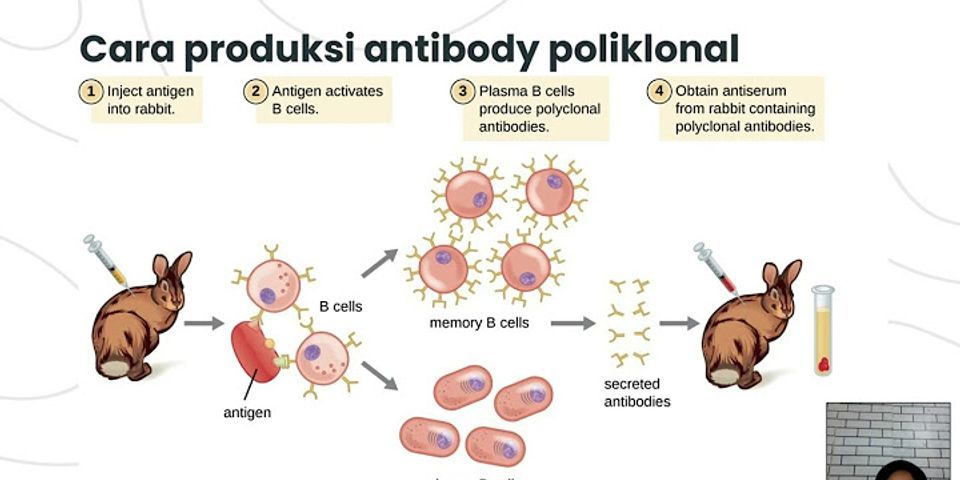 Kelebihan antibodi monoklonal dibandingkan dengan antibodi biasa