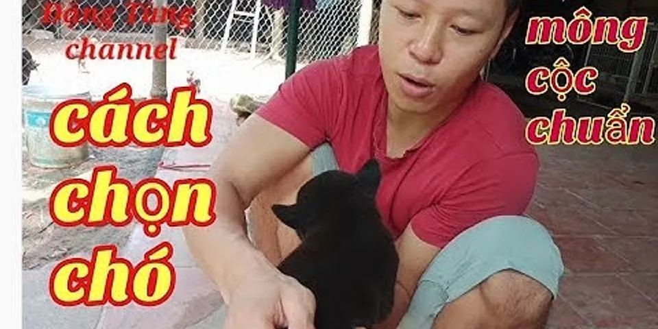 Kinh nghiệm nuôi chó Mông Cộc