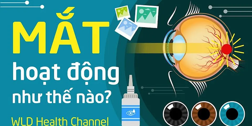 Mắt con gọi là gì