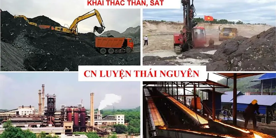 Ngành công nghiệp khai thác nhiên liệu phát triển mạnh nhất ở Quảng Ninh là gì