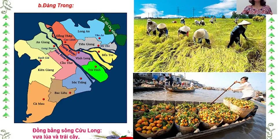 Nhận xét sự khác nhau giữa kinh tế nông nghiệp Đàng Trong và Đàng Ngoài