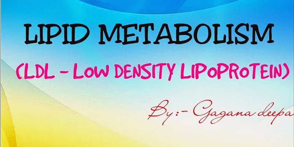 Perbedaan Ldl (low Density Lipoprotein) Dan Hdl (high Density Lipoprotein)