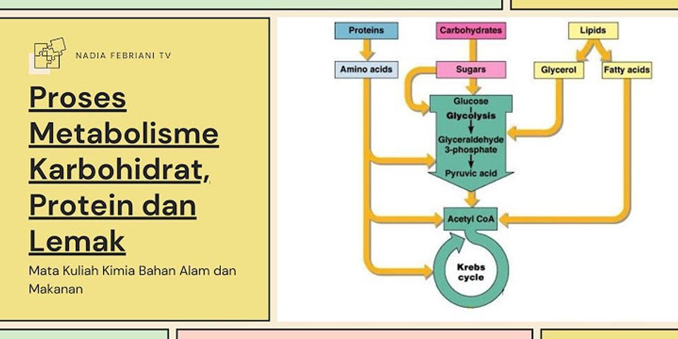 Perbedaan Mekanisme Dan Cara Kerja - IMAGESEE