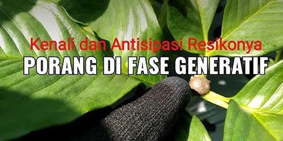 Perbedaan transpirasi evaporasi dan gutasi