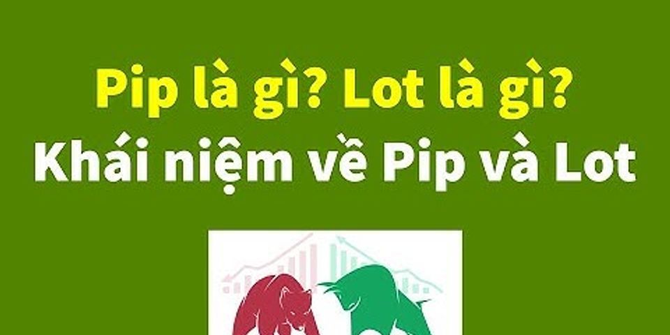 Pip lot là gì