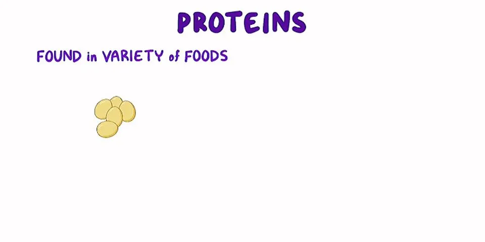 Protein là gì Hóa 12