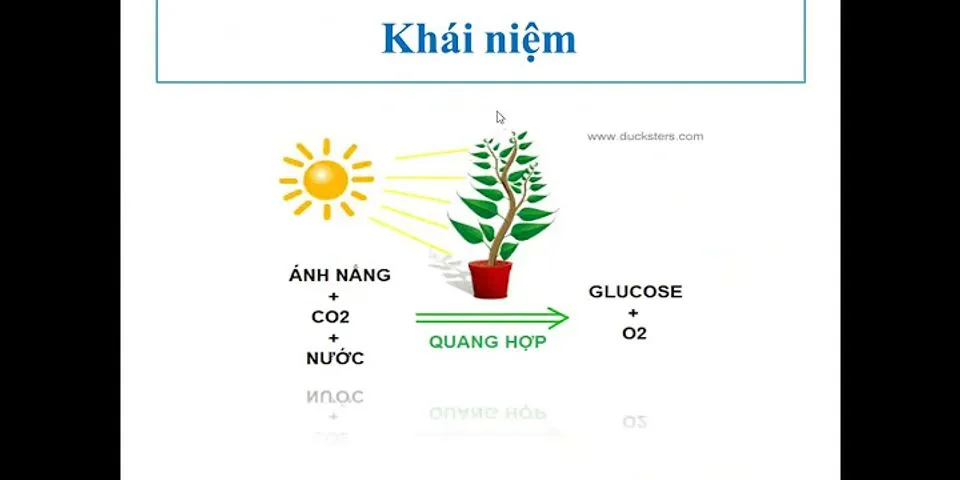 Quá trình quang hợp ở thực vật, trong các phát biểu sau có bao nhiêu phát biểu đúng