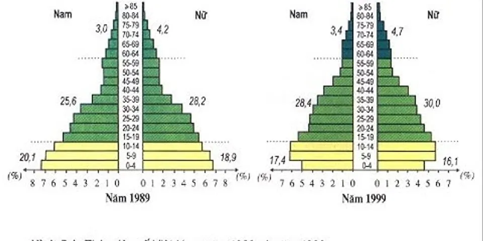 Quan sát tháp dân số năm 1989 và năm 1999 Hình dạng của 2 tháp như thế nào