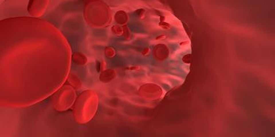 Peredaran darah ke seluruh tubuh yang tidak melewati pembuluh kapiler darah disebut sistem peredaran darah