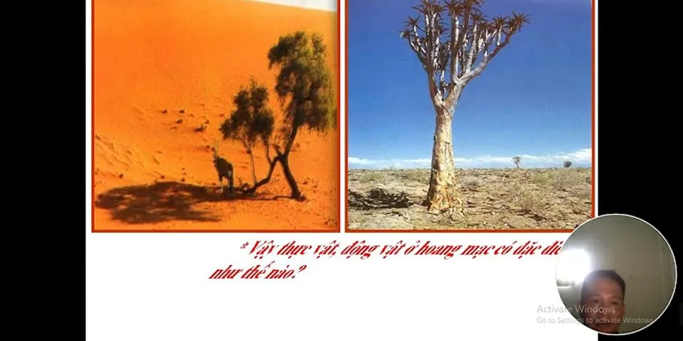 So sánh môi trường đới ôn hòa môi trường hoang mạc