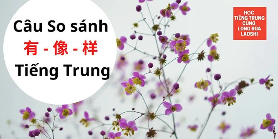So sánh trạng ngữ trong tiếng Trung và tiếng Việt