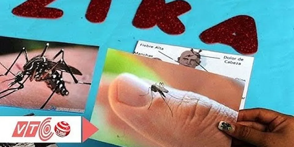 Sự khác nhau giữa muỗi anophen và muỗi thường