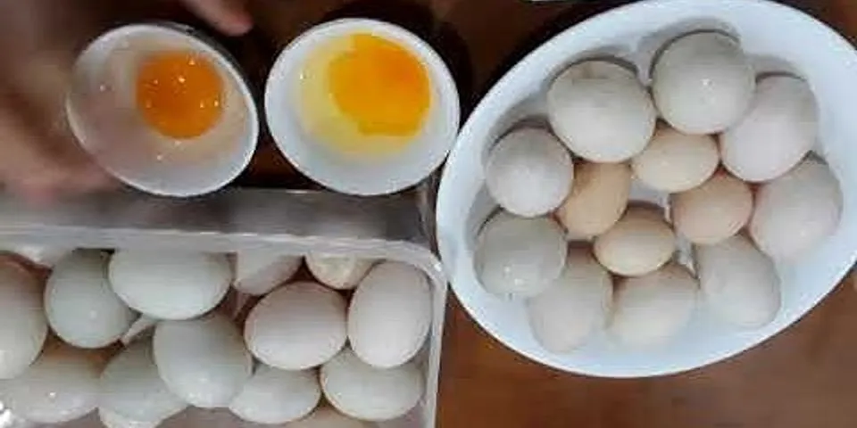 Sự khác nhau giữa trứng gà và trứng vịt