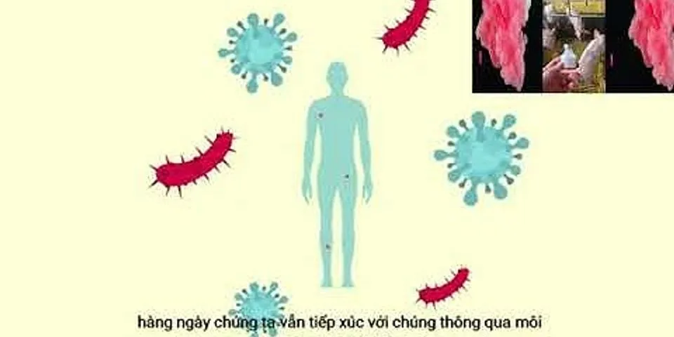 Sự khác nhau giữa virus và vi khuẩn