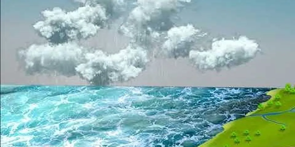 Sự khác nhau giữa vòng tuần hoàn lớn và nhỏ của nước trên Trái Đất