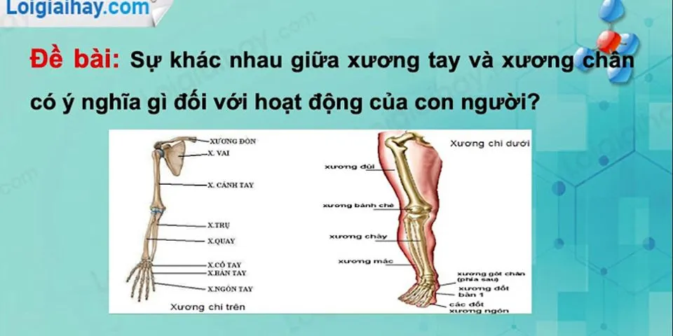 Sự khác nhau giữa xương tay và chân
