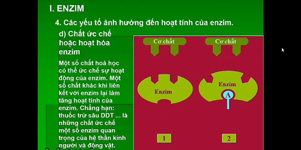 Tại sao lại có sự khác nhau về hoạt tính enzim giữa các lát khoai tây