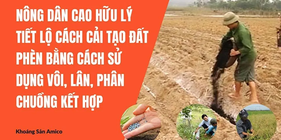 Tại sao người ta dụng vôi bột để cải tạo đất chua